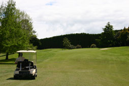 Golf carts and other motorised transport can be used at anytime for casual rounds of golf.