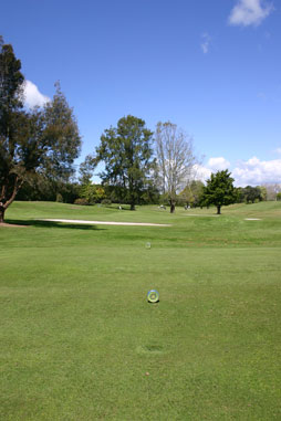 A tee at Golf Te Puke