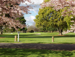 12th Green at Golf Te Puke