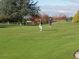 11th Green at Golf Te Puke