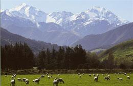 Stunning New Zealand Scenery