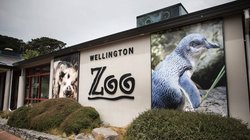 Wellington Zoo – New Zealand’s oldest zoo, featuring native species, animal encounters, and family-friendly activities.