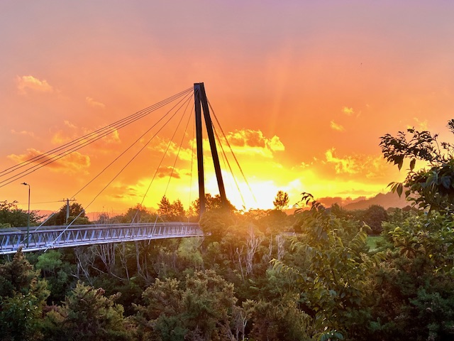 Upper Hutt River Trail