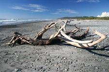 Greymouth Beach