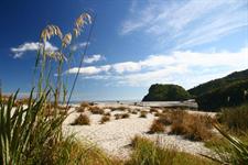 Tranquil Surroundings