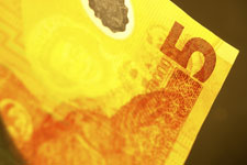 New Zealand 5 Dollar Bill