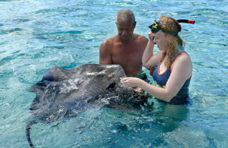 Don't miss the opportunity to swim with stingrays and feed the sharks