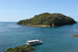 Boat trip to bird reserve