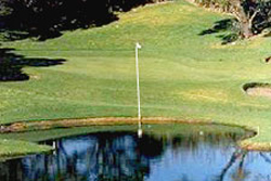 Enjoy a game of golf at some of Taranaki's magnificent courses.
