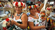 Cook Islands Cultural Packages