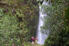 Magical Papua New Guinea nature treks