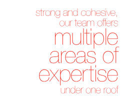 Strong and cohesive, our team offers multiple areas of expertise under one roof