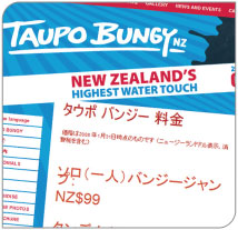 A multi-lingual website is an important part of a truly global marketing strategy.