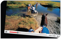 You also enjoy cross-promotion on the global phenomenon that is YouTube.com. 