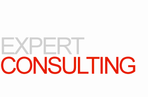 Expert Consulting