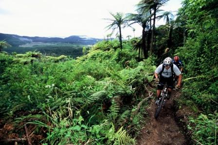 Sport of Kings Motel is just a few minutes drive from New Zealand's mountain biking trails 
