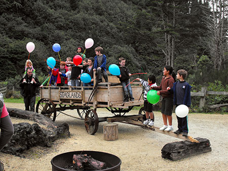 Kids Birthday Parties Venue Venue Hire Wellington Attractions