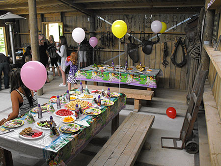 Kids Birthday Parties Venue Venue Hire Wellington Attractions