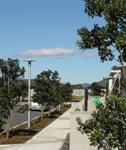Excelsa Village Papamoa 15