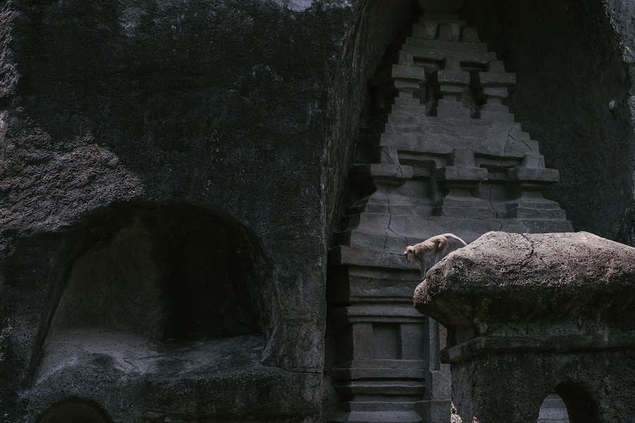 Ubud Monkey Forest