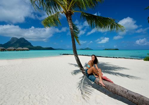 Tahiti Travel Mate Tahiti Travel Tahiti Honeymoons Tahiti Travel Mate Tahiti Travel Tahiti Honeymoons