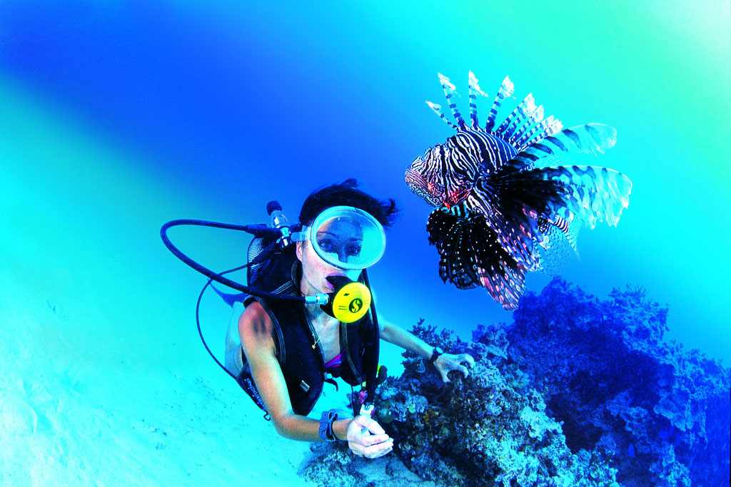 Diving Tahiti