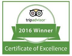 TripAdvisor Logo Certificate of Excellence