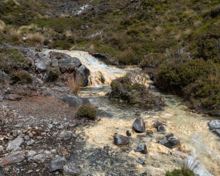 The Silica Rapids Walk is a loop track in Tongariro National Park