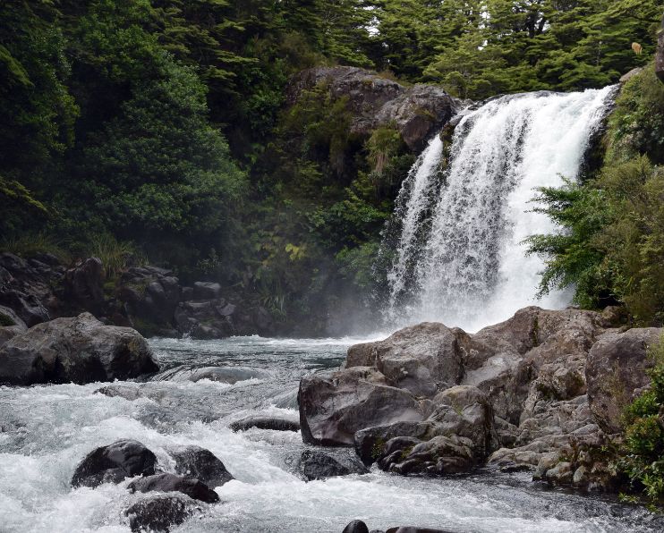 Taranaki Falls is an easy 6 kms loop track that will take you around 2 hours return.
