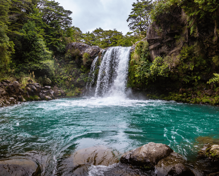 Lord of the Rings was shot here. Gollum Pools. Taranaki Falls. 