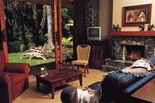 Bush views from your room