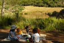 Teddy Bears Picnic