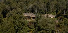 Treetops Lodge nestled in the bush