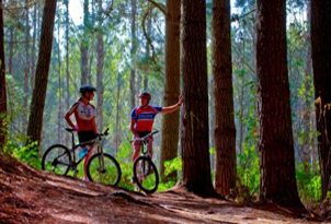 Turangi Holiday Park Accomodation Activities biking
