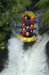Rafting Rotorua's 7m Tutea Falls with Raftabout