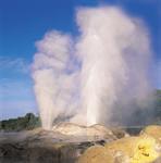 Pohutu Geyser, Te Puia