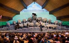 Award winning Agrodome Sheep Show