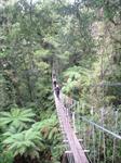 Rotorua Canopy Tour