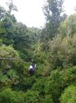 Rotorua Canopy Tour
