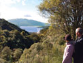 Mt Hazard Trail