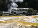 Waimangu Shuttle Bus