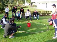 Team Building