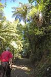 On site bush walks