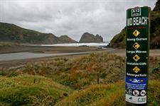 Piha Beach