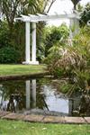 The Pond