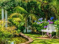 Fish Pond
