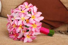 Colourful Island flowers